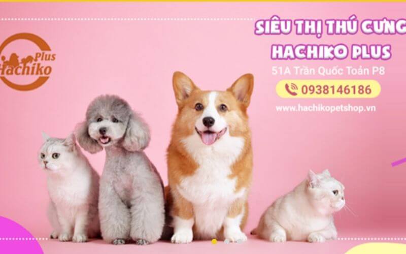 Siêu Thị Thú Cưng Hachiko - Pet Shop